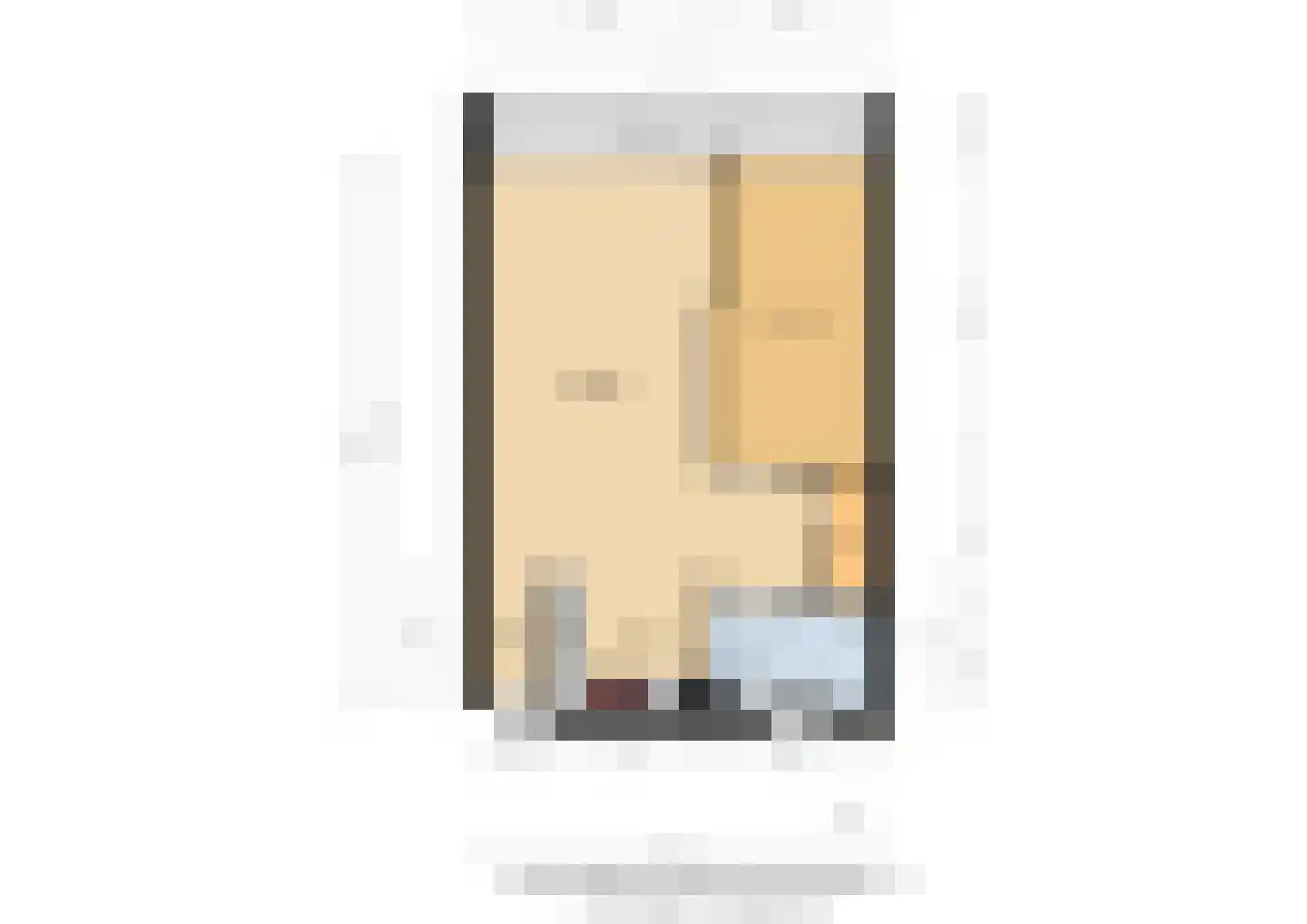 Aalscholversingel 70 Velp thumbnail 26
