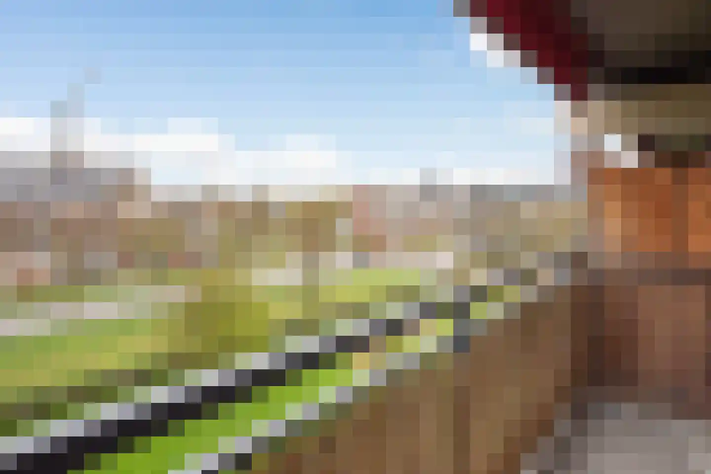 Aalscholversingel 72 Velp thumbnail 17