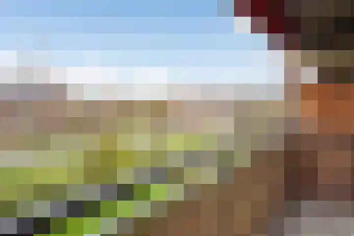 Aalscholversingel 72 Velp thumbnail 17