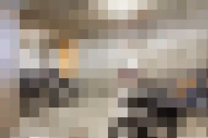 Aalscholversingel 72 Velp thumbnail 24