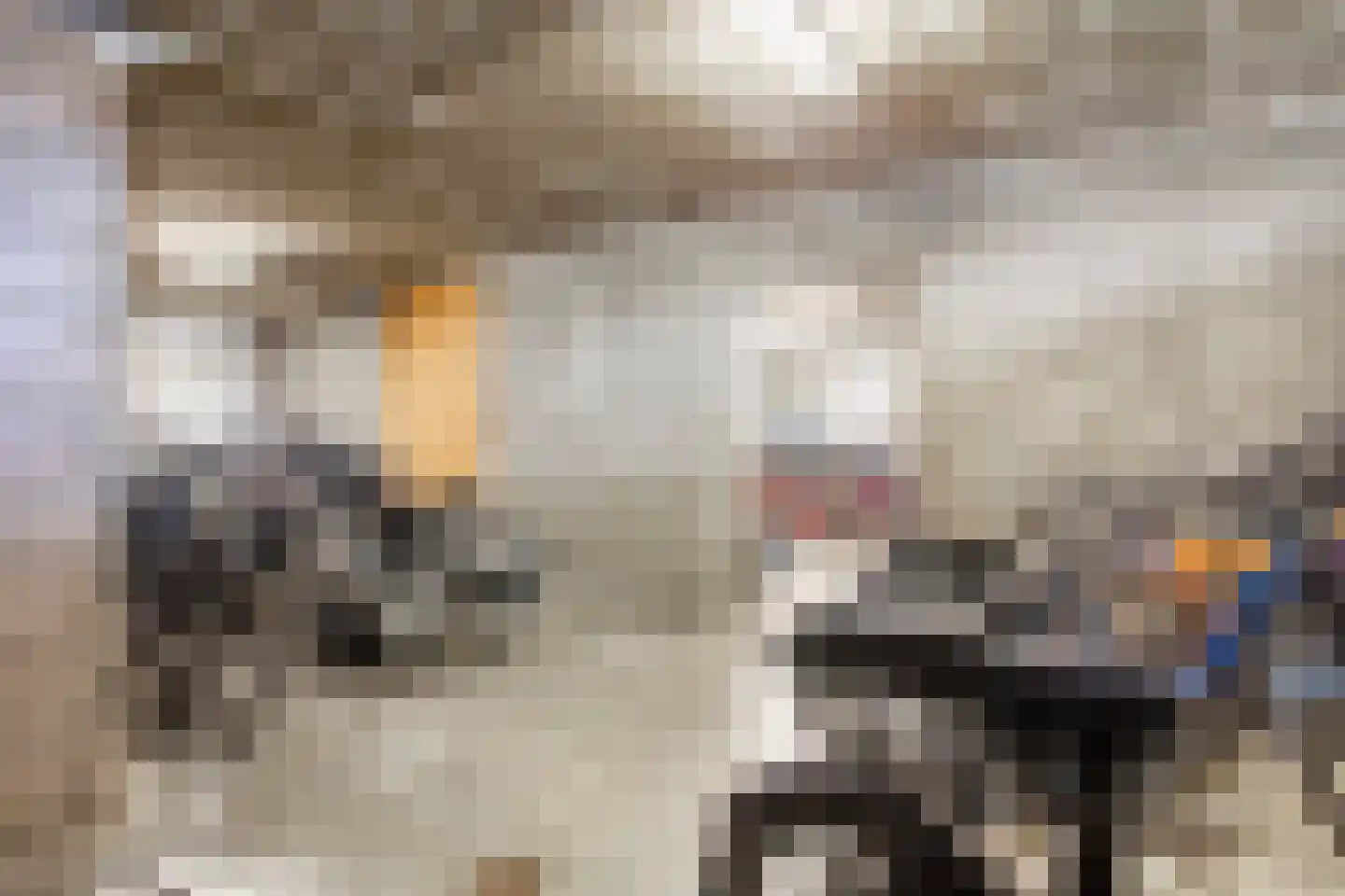 Aalscholversingel 72 Velp thumbnail 24