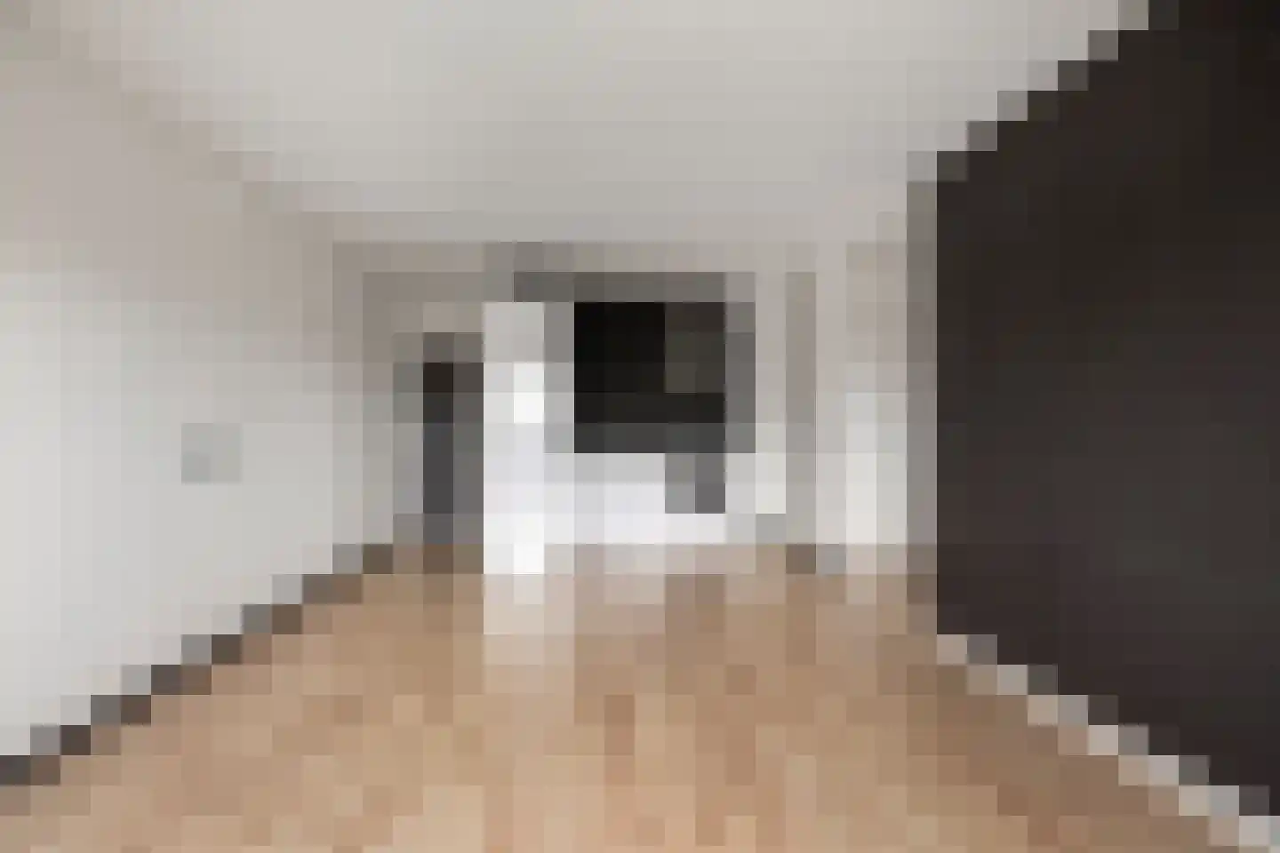 Aalscholversingel 72 Velp thumbnail 4