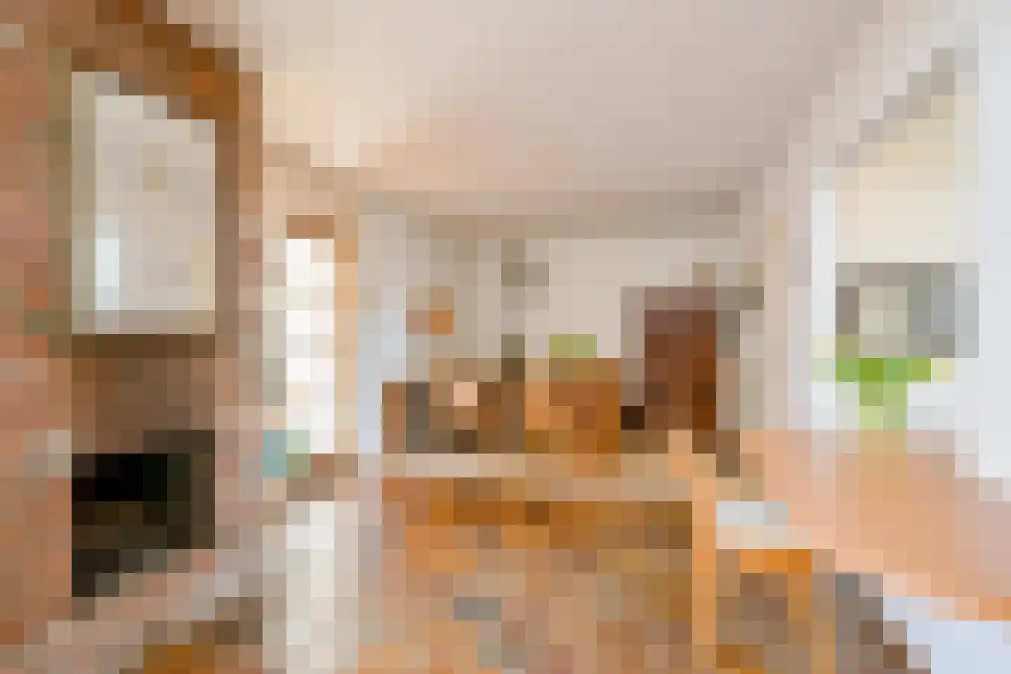 Aalscholverstraat 10 Anna Paulowna thumbnail 10