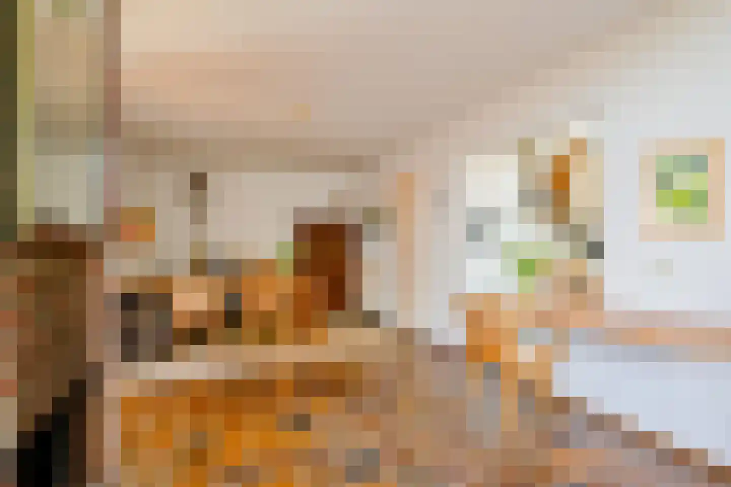Aalscholverstraat 10 Anna Paulowna thumbnail 12