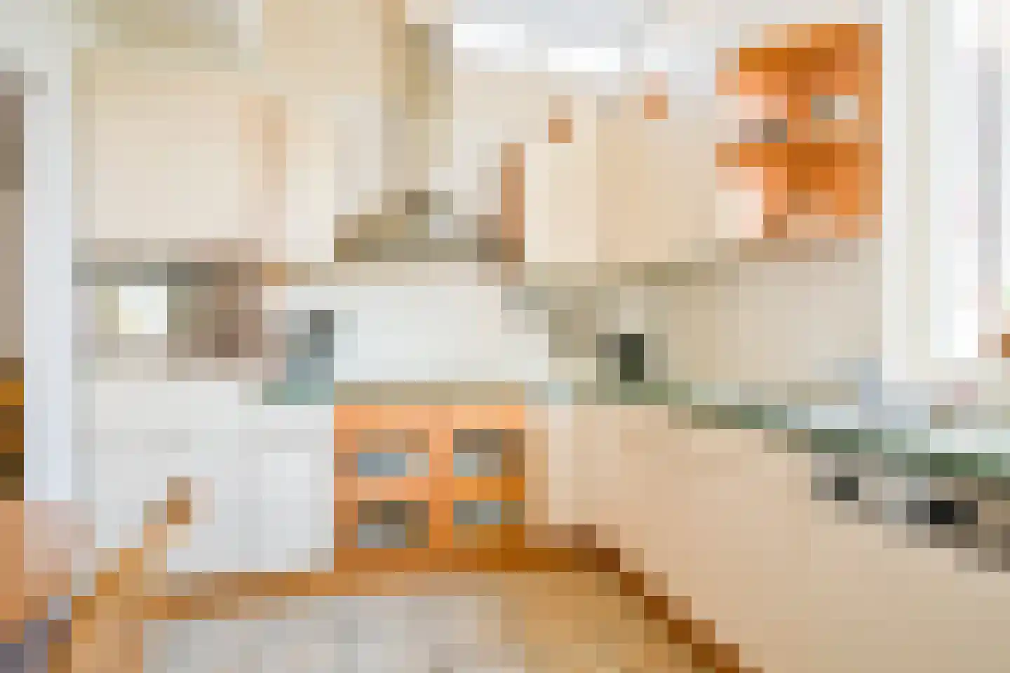 Aalscholverstraat 10 Anna Paulowna thumbnail 14