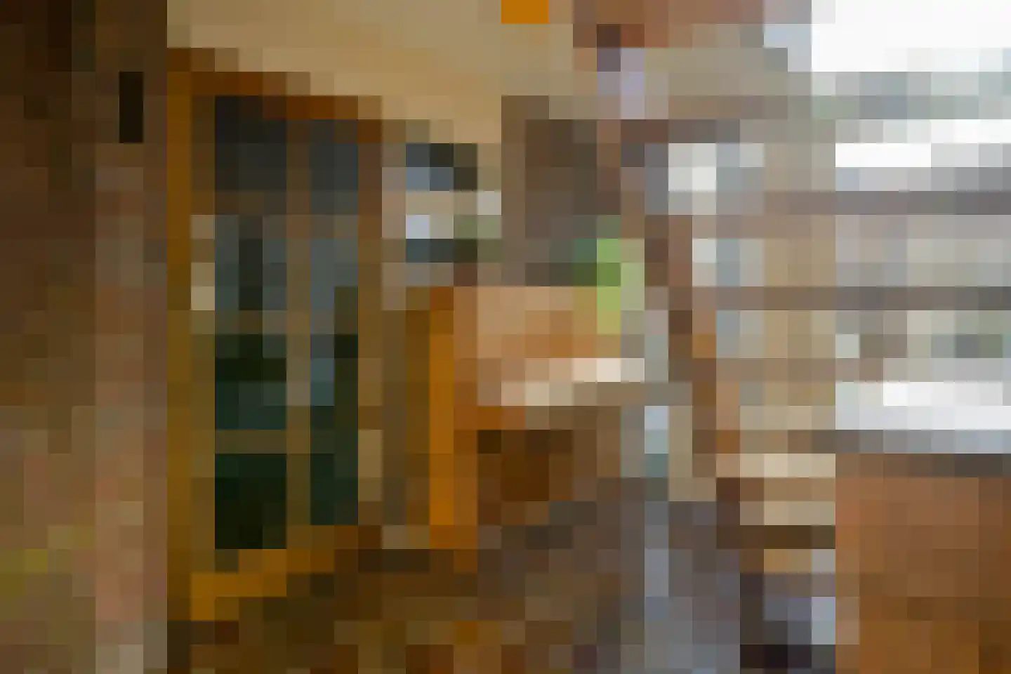 Aalscholverstraat 10 Anna Paulowna thumbnail 16