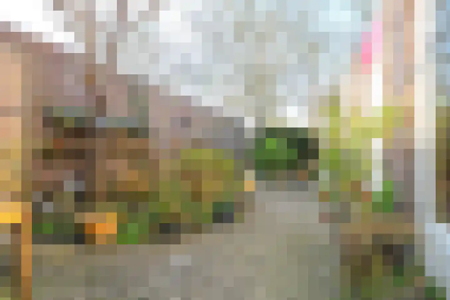 Aalscholverstraat 10 Anna Paulowna thumbnail 17