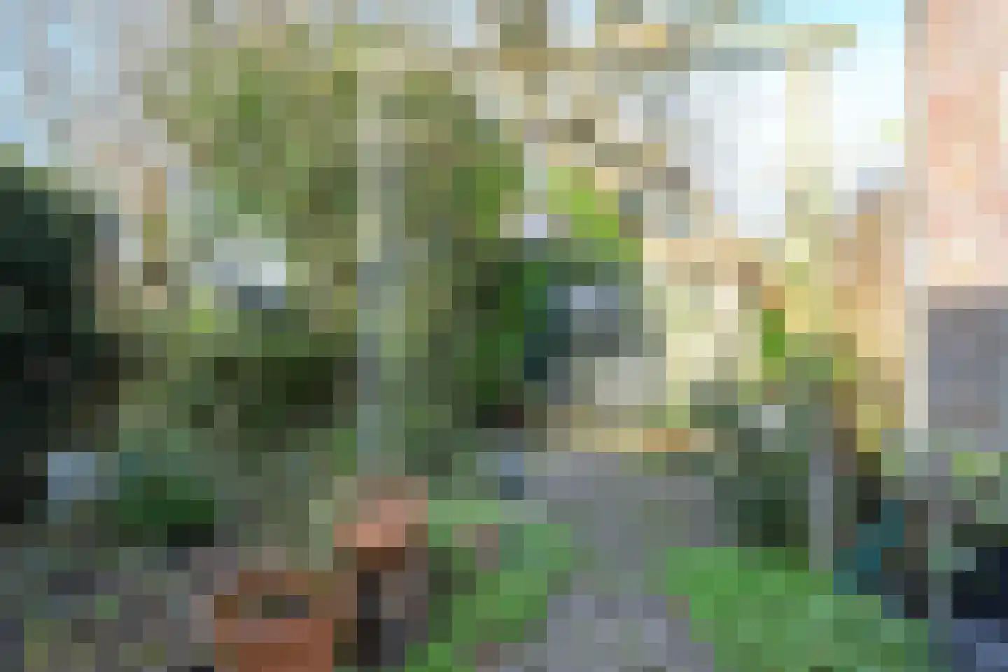 Aalscholverstraat 10 Anna Paulowna thumbnail 18