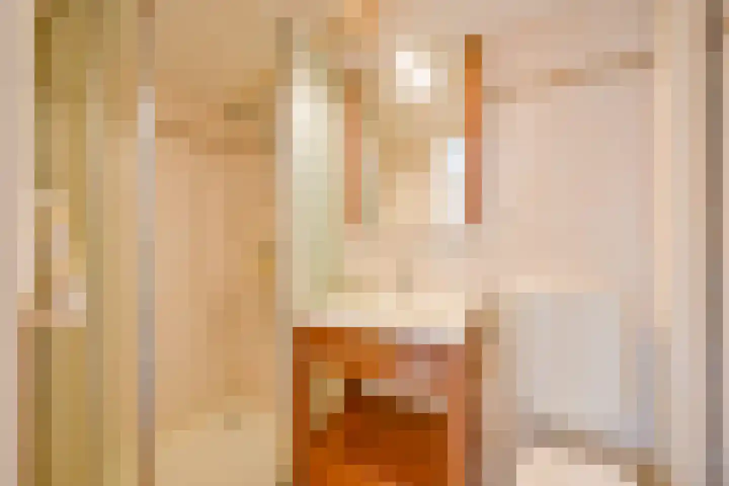 Aalscholverstraat 10 Anna Paulowna thumbnail 32