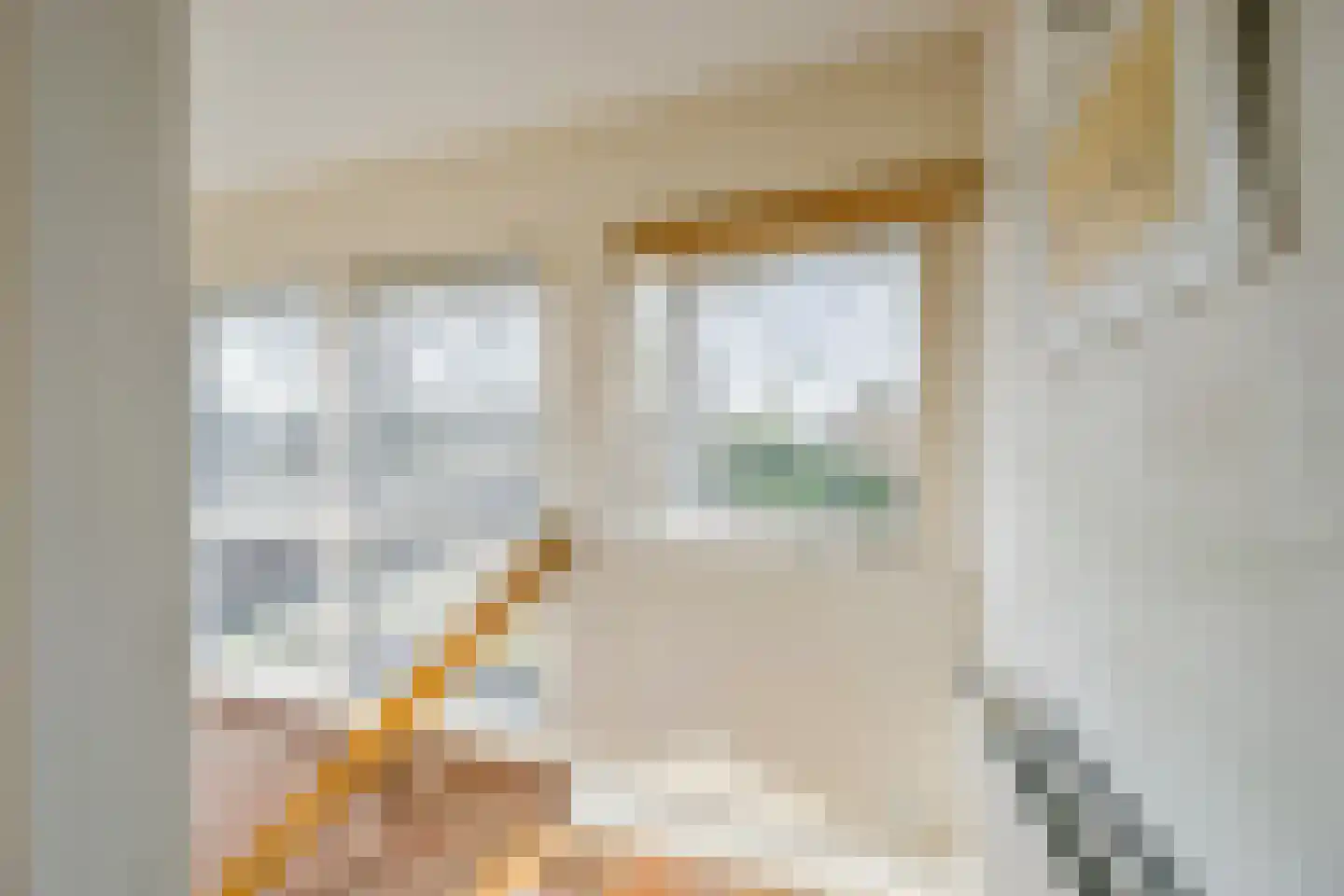 Aalscholverstraat 10 Anna Paulowna thumbnail 33