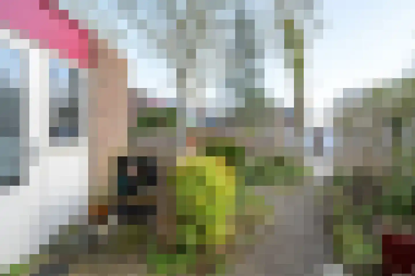 Aalscholverstraat 10 Anna Paulowna thumbnail 35