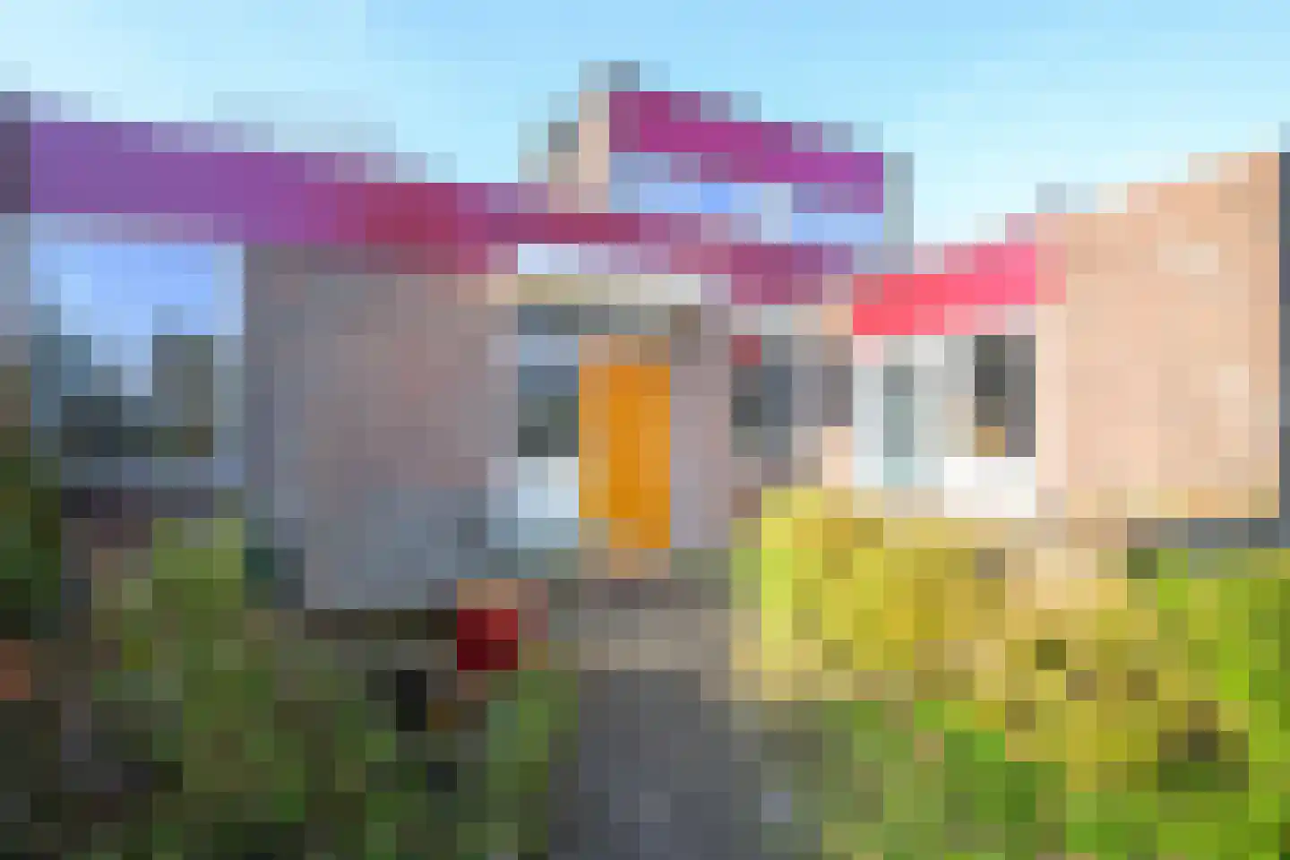 Aalscholverstraat 10 Anna Paulowna thumbnail 4