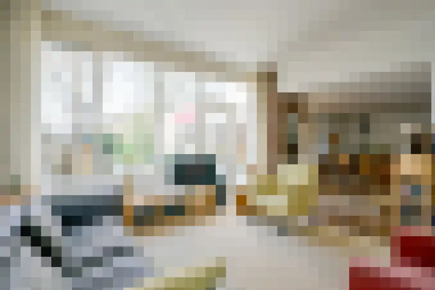 Aalscholverstraat 10 Anna Paulowna thumbnail 8