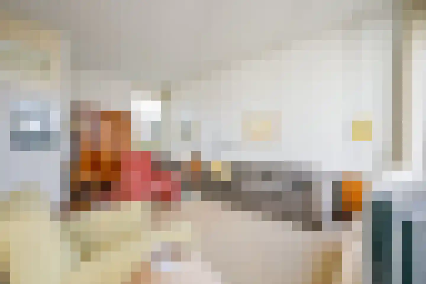 Aalscholverstraat 10 Anna Paulowna thumbnail 9