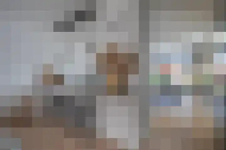 Aalscholverstraat 10 Duiven thumbnail 17