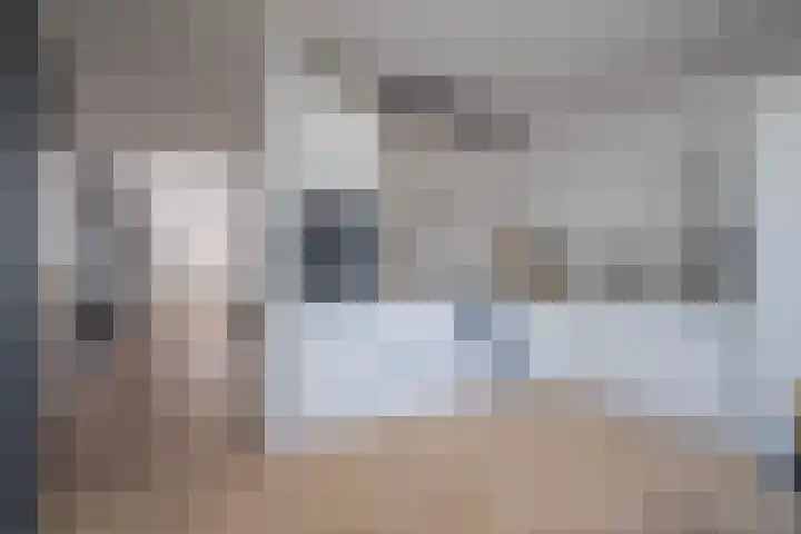 Aalscholverstraat 10 Duiven thumbnail 18