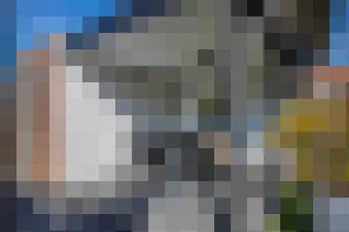 Aalscholverstraat 10 Duiven thumbnail 29