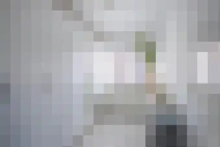 Aalscholverstraat 10 Duiven thumbnail 41