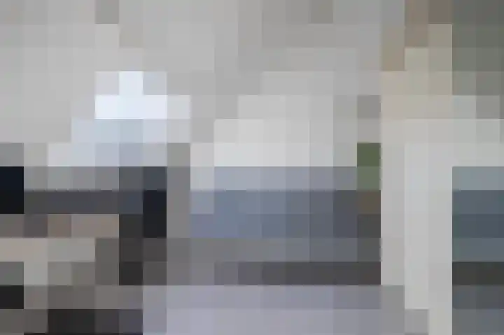 Aalscholverstraat 10 Duiven thumbnail 43