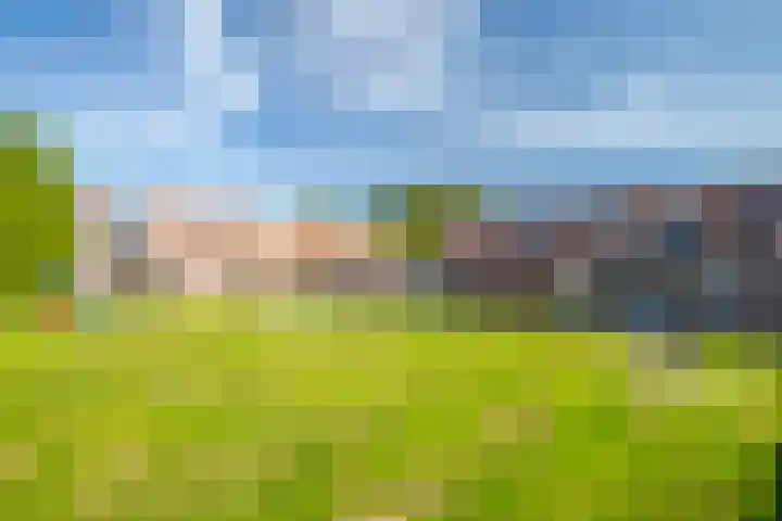 Aalscholverstraat 10 Duiven thumbnail 47