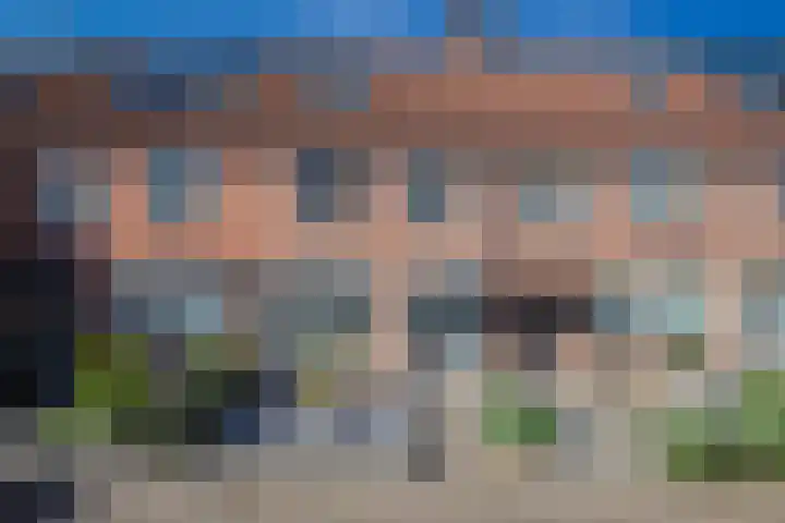 Aalscholverstraat 10 Duiven thumbnail 5