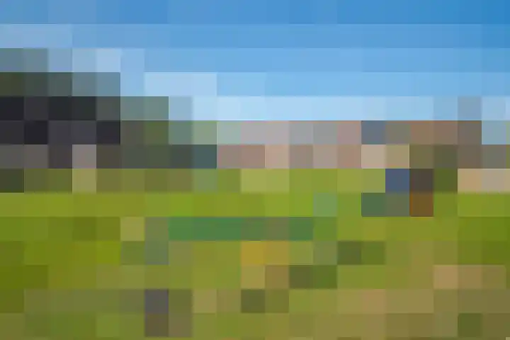Aalscholverstraat 10 Duiven thumbnail 6