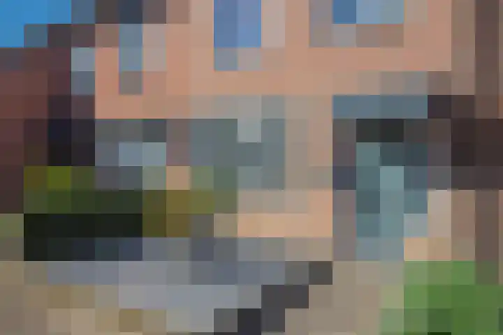 Aalscholverstraat 10 Duiven thumbnail 7