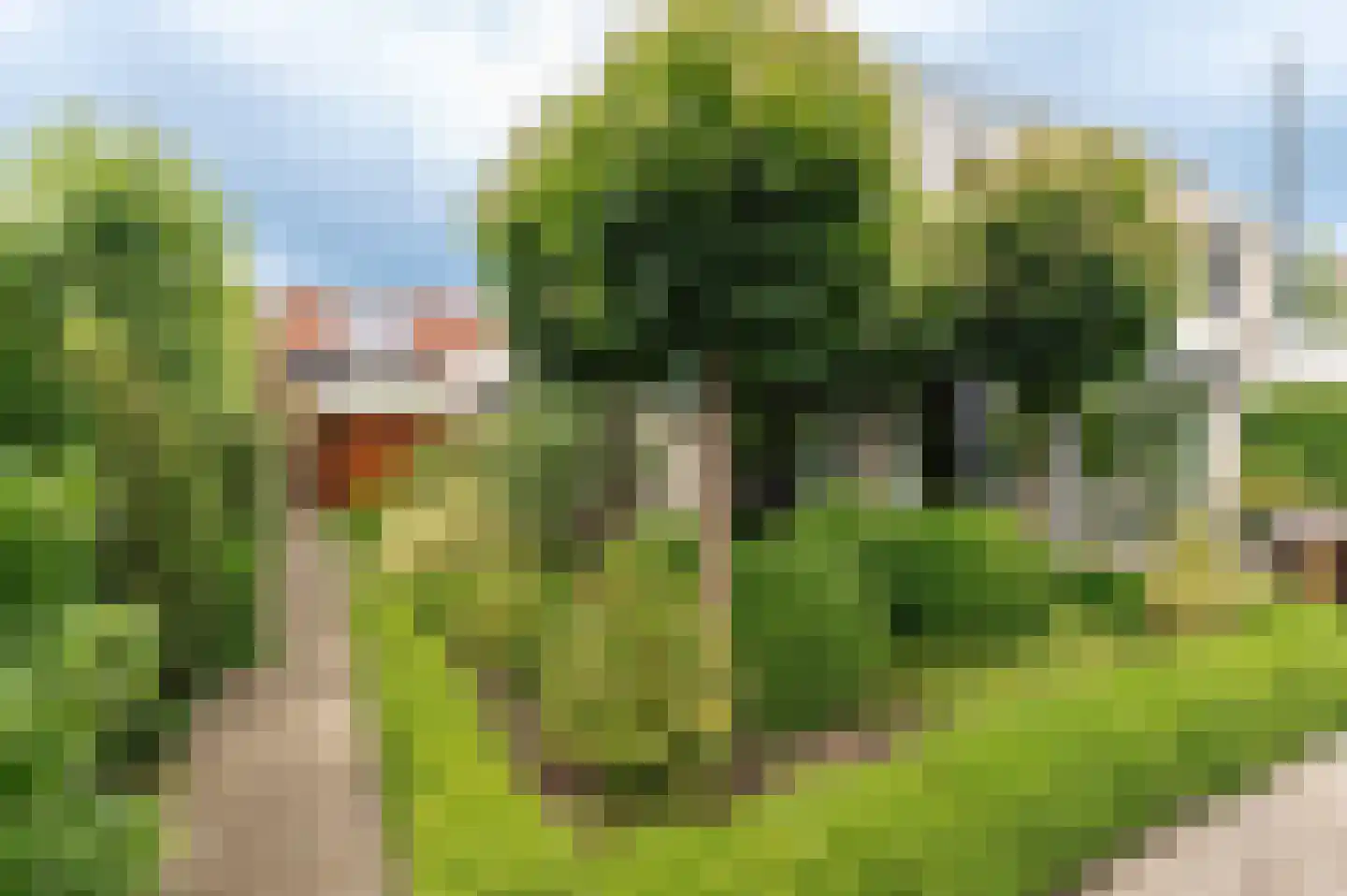 Aalscholverstraat 11 Culemborg thumbnail 20