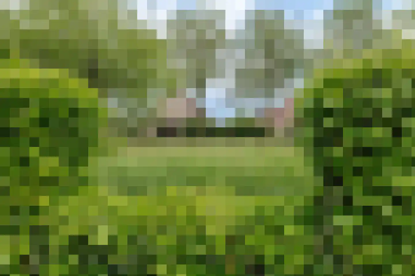 Aalscholverstraat 11 Culemborg thumbnail 21