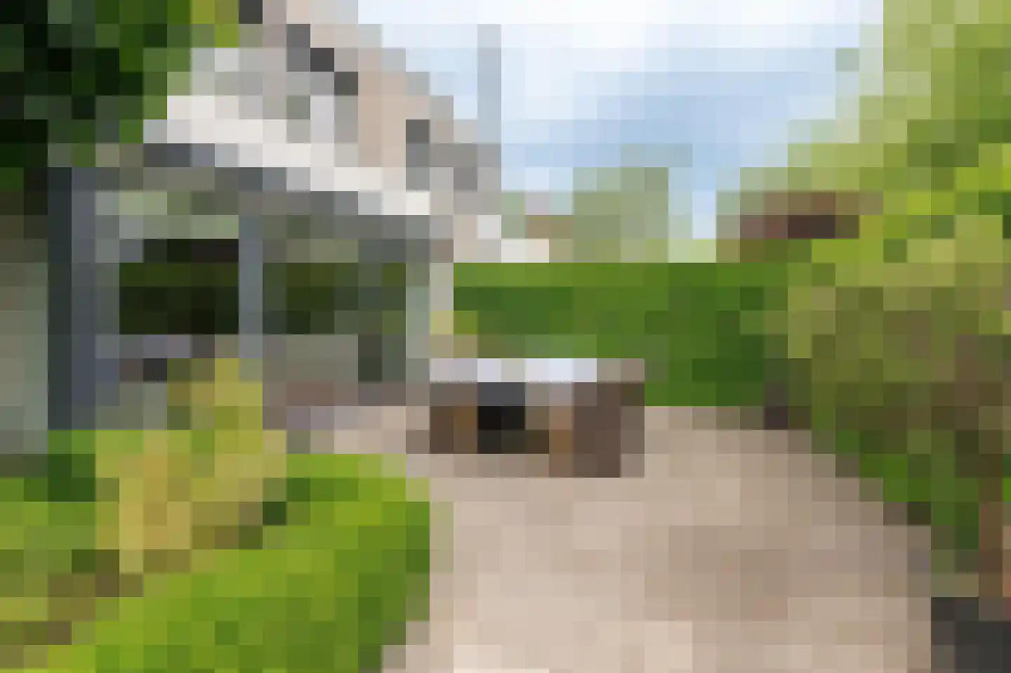 Aalscholverstraat 11 Culemborg thumbnail 22