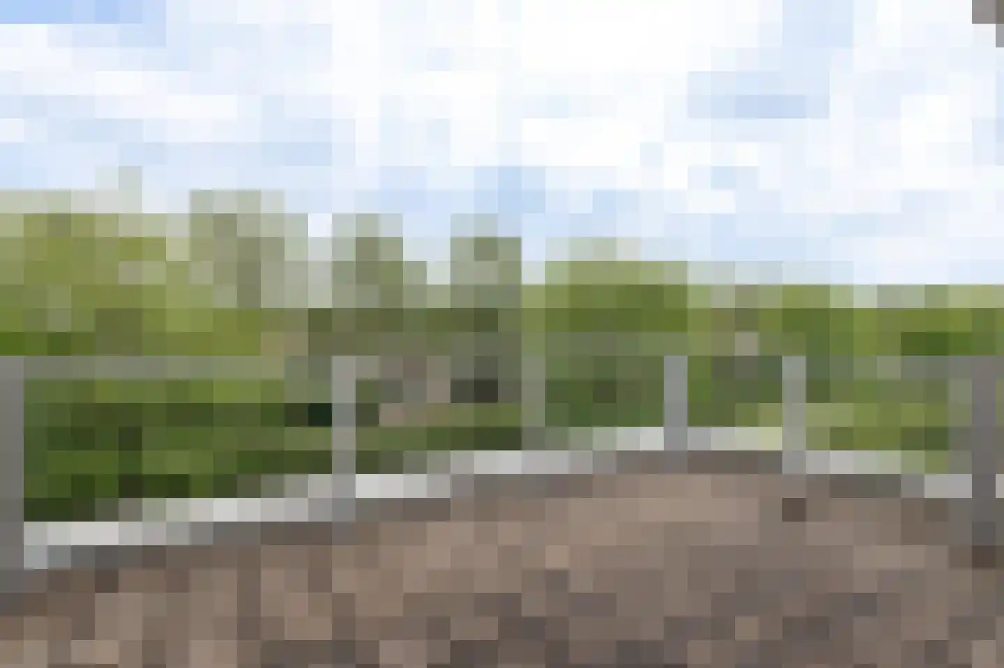 Aalscholverstraat 11 Culemborg thumbnail 36