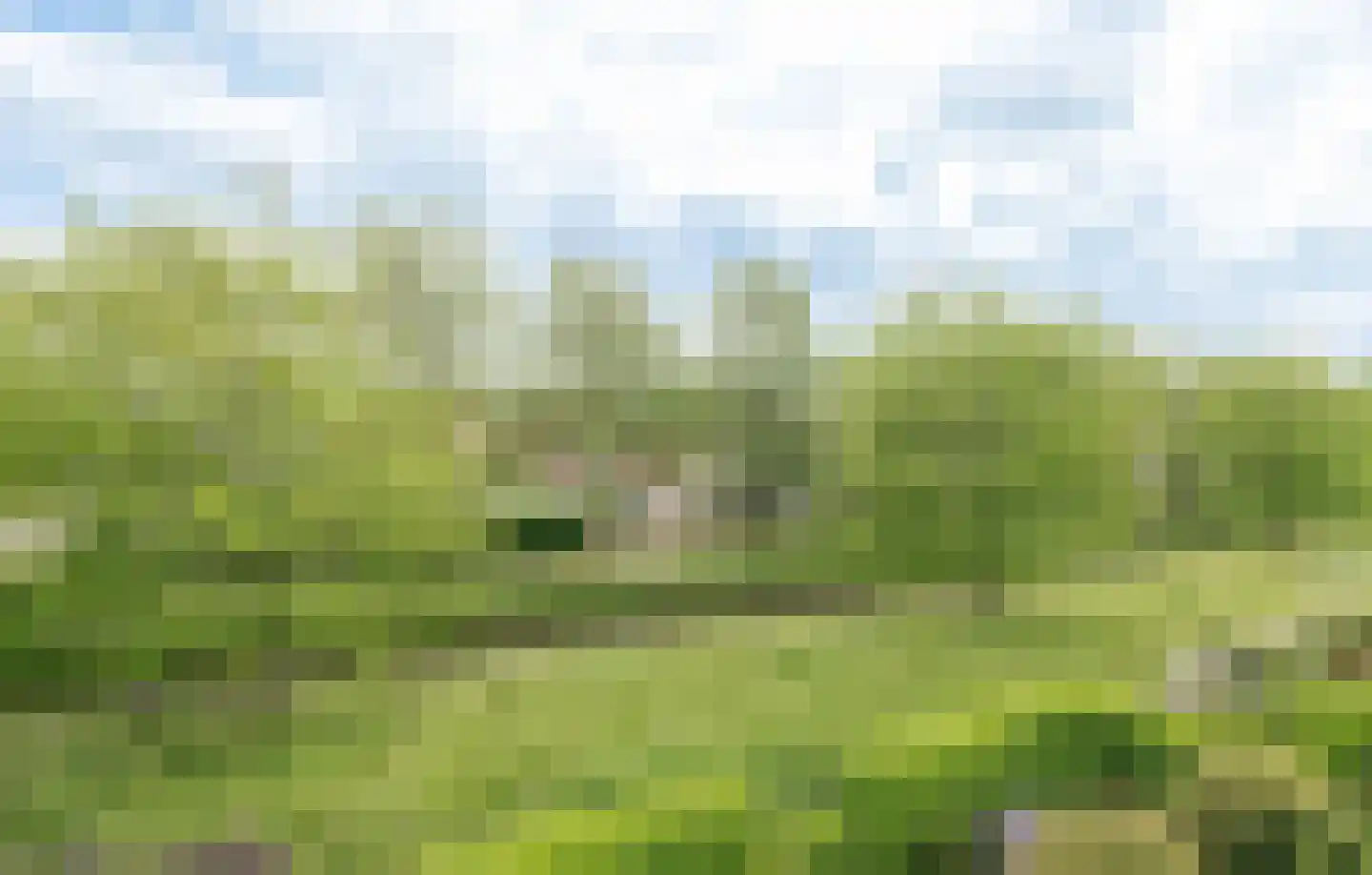 Aalscholverstraat 11 Culemborg thumbnail 38