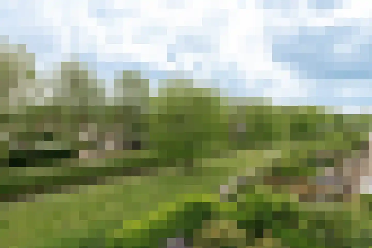 Aalscholverstraat 11 Culemborg thumbnail 39