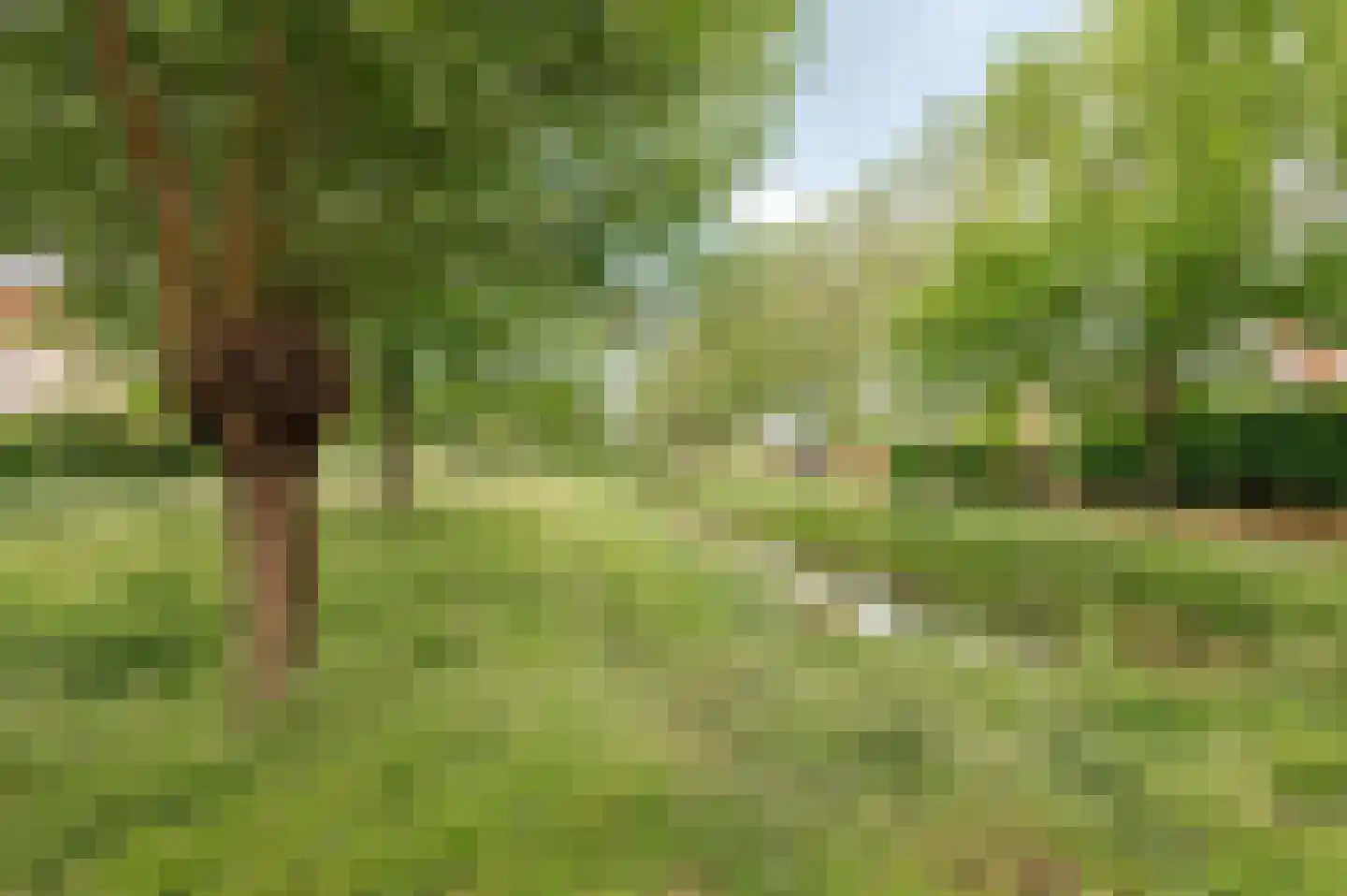 Aalscholverstraat 11 Culemborg thumbnail 47