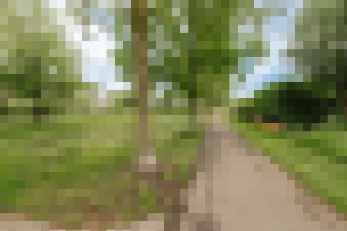 Aalscholverstraat 11 Culemborg thumbnail 48