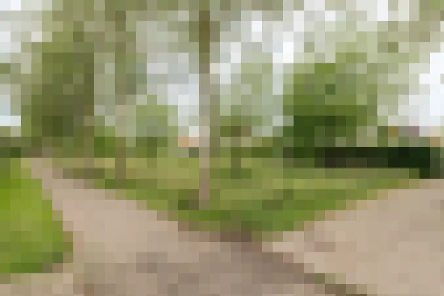 Aalscholverstraat 11 Culemborg thumbnail 49