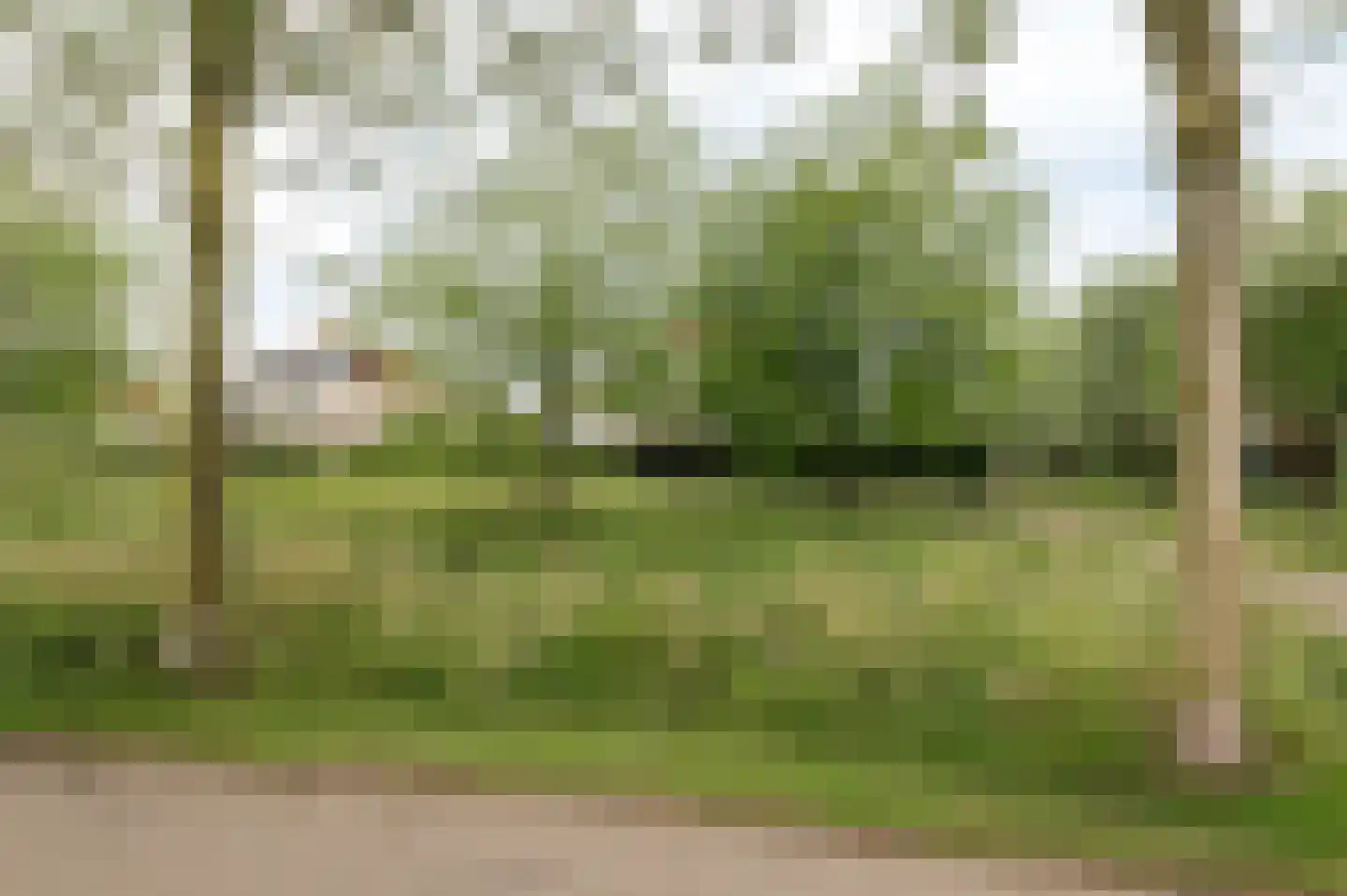 Aalscholverstraat 11 Culemborg thumbnail 50