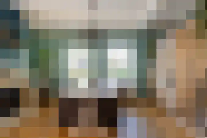 Aalscholverstraat 15 Werkendam thumbnail 10