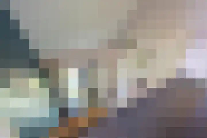 Aalscholverstraat 15 Werkendam thumbnail 21