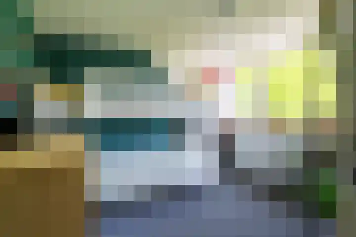 Aalscholverstraat 15 Werkendam thumbnail 28
