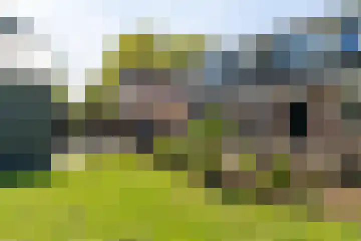 Aalscholverstraat 15 Werkendam thumbnail 37