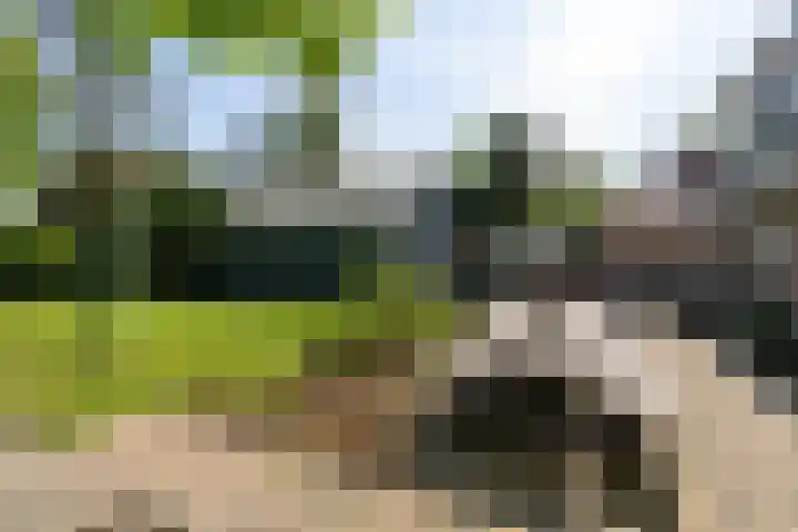 Aalscholverstraat 15 Werkendam thumbnail 38