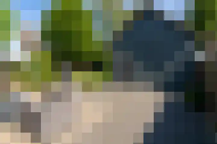 Aalscholverstraat 15 Werkendam thumbnail 39