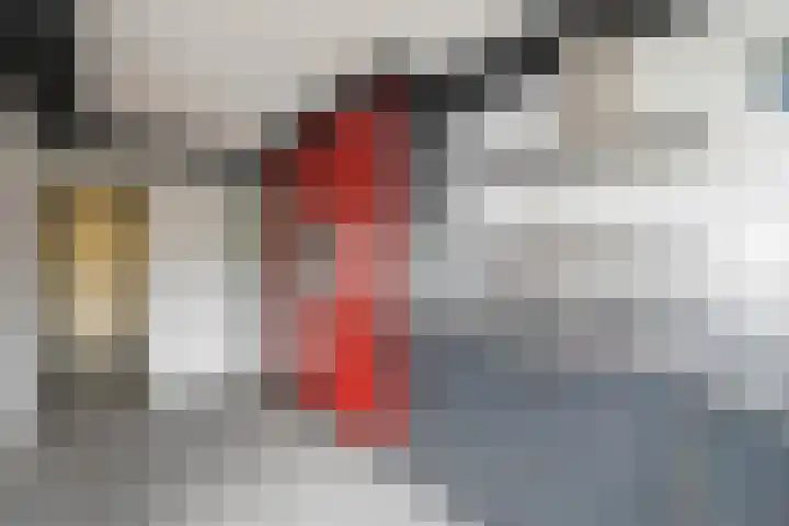 Aalscholverstraat 2 Anna Paulowna thumbnail 13