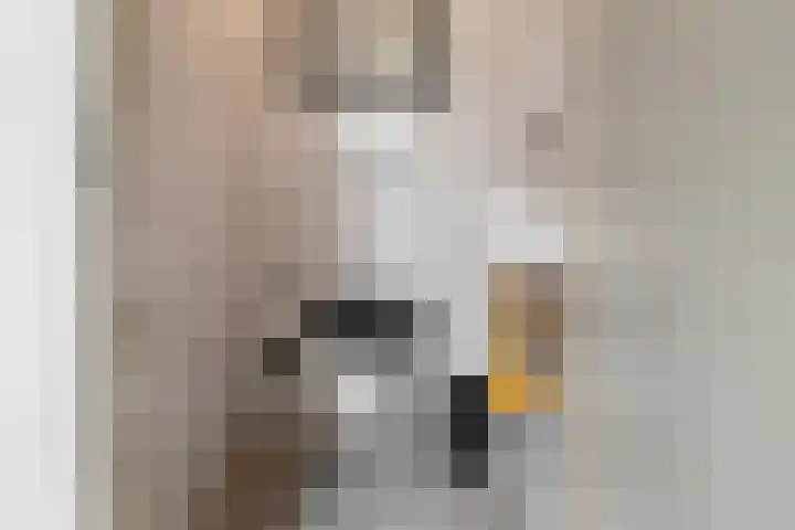Aalscholverstraat 2 Anna Paulowna thumbnail 18