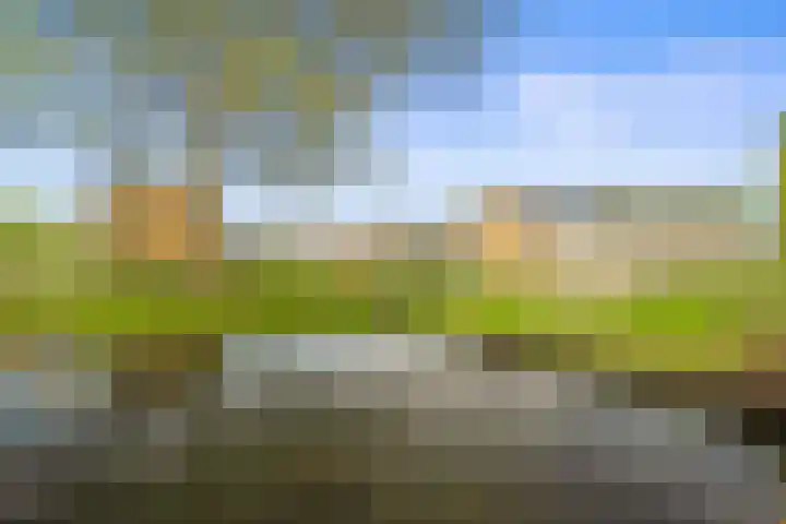 Aalscholverstraat 2 Anna Paulowna thumbnail 31