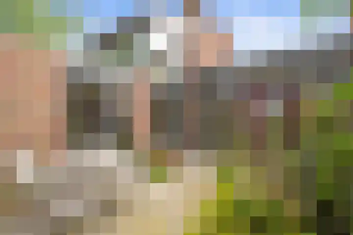 Aalscholverstraat 2 Anna Paulowna thumbnail 4
