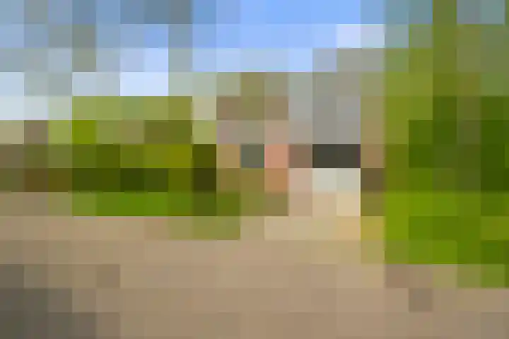 Aalscholverstraat 2 Anna Paulowna thumbnail 6