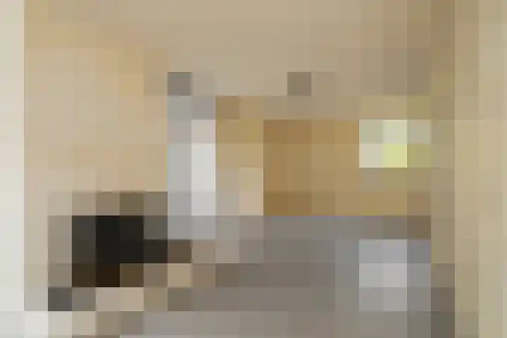 Aalscholverstraat 2 Anna Paulowna thumbnail 9