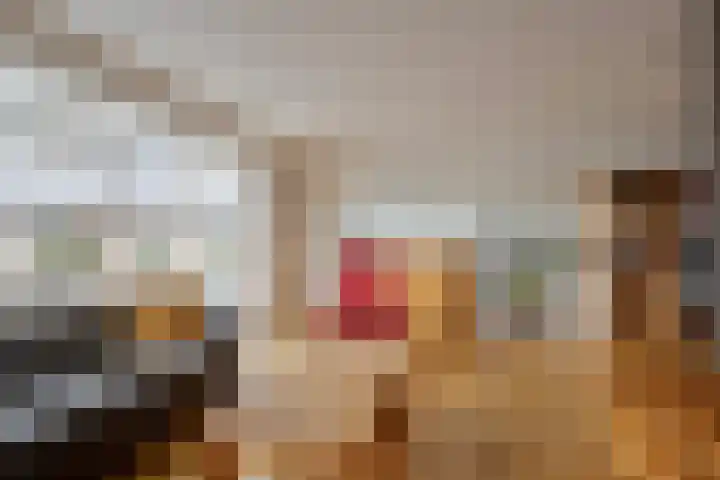 Aalscholverstraat 2 Goor thumbnail 10